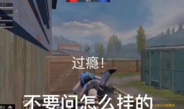 和平精英最新爆料小胖解说,小胖解说带你探秘游戏新动态